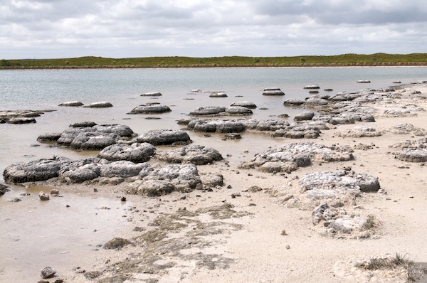 AustraliaPerth 10  069